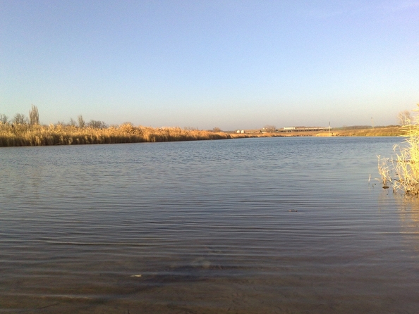 
  Продается земельный участок, 38.93 соток, хутор Кут
. Фото 15.