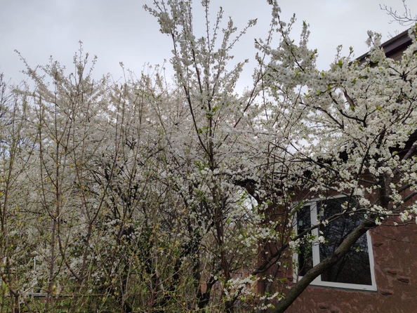 
  Продается дом, 105 м², Ростов-на-Дону
. Фото 14.