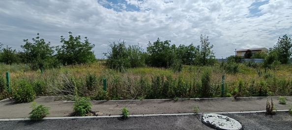 
  Продается земельный участок, 6 соток, поселок Рассвет
. Фото 1.