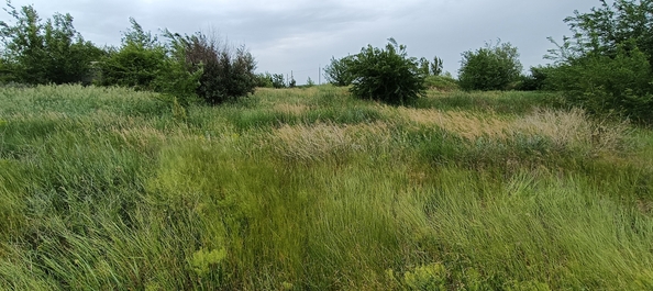 
  Продается земельный участок, 4.89 сотки, поселок Октябрьский
. Фото 1.