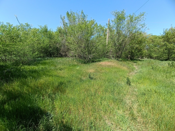 
  Продается земельный участок, 5 соток, Ростов-на-Дону
. Фото 2.