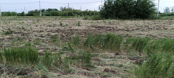 
  Продается земельный участок, 8.76 соток, поселок Красный
. Фото 6.