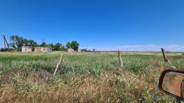 
  Продается земельный участок 25 соток. Фото 2.