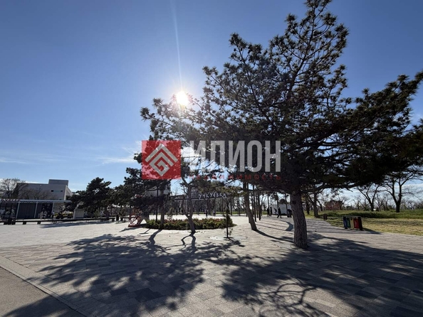 
  Продается земельный участок 11 соток. Фото 2.
