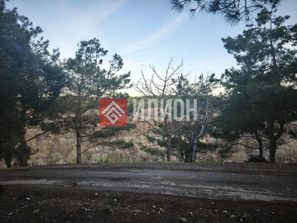 
  Продается земельный участок 7.7 соток. Фото 8.