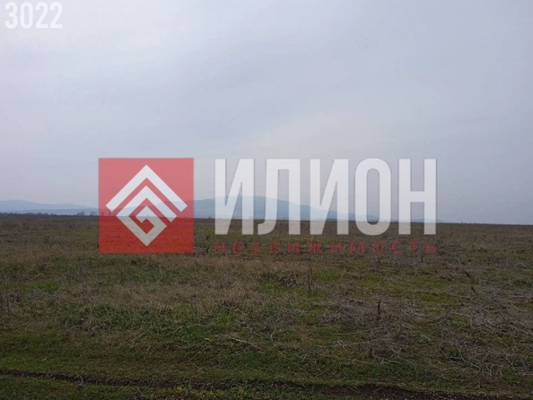 
  Продается земельный участок 1000 соток. Фото 3.