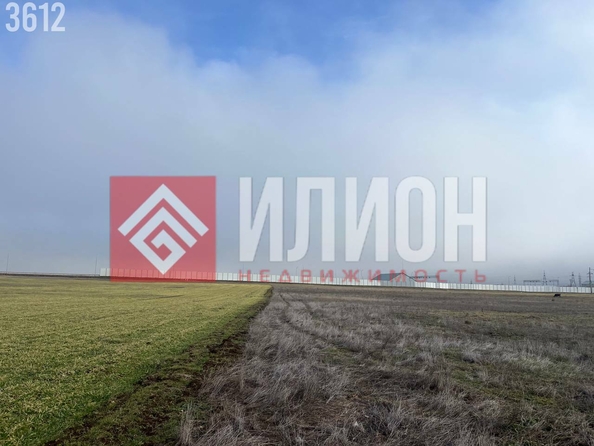 
  Продается земельный участок 850 соток. Фото 4.