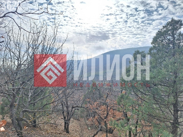 
  Продается земельный участок 5 соток. Фото 9.