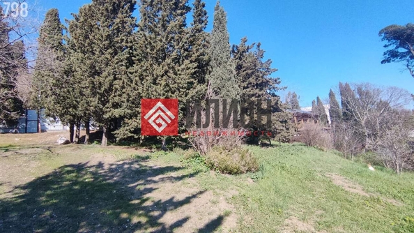 
  Продается земельный участок 39.6 соток. Фото 13.