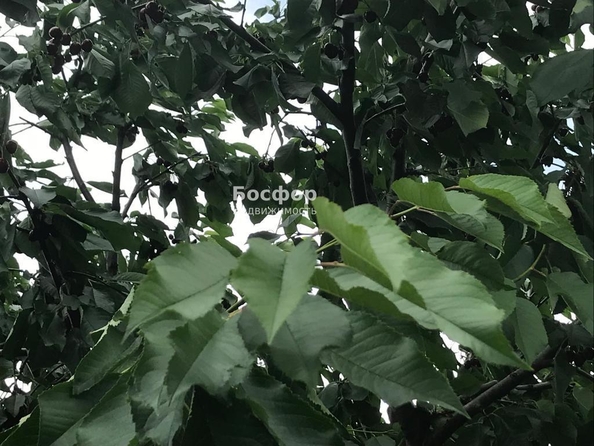 
  Продается дом 288 м². Фото 20.