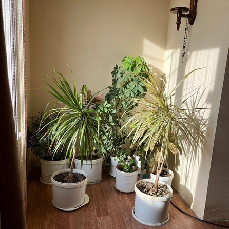 
  Продается коттедж 84 м². Фото 10.