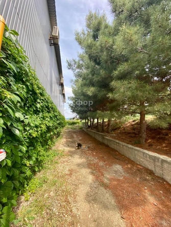 
  Продается гостиница 680 м². Фото 71.