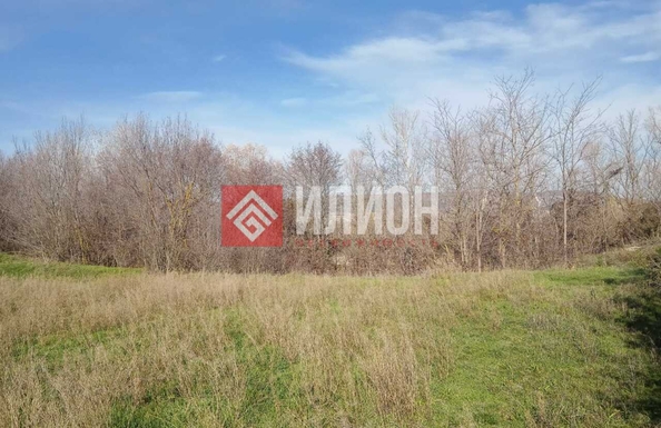 
  Продается земельный участок 217.2 соток. Фото 3.