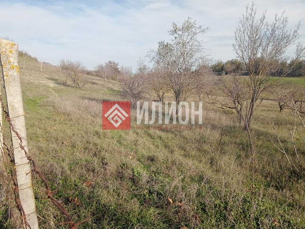 
  Продается земельный участок 38.1 соток. Фото 5.