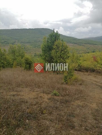 
  Продается земельный участок 110 соток. Фото 3.