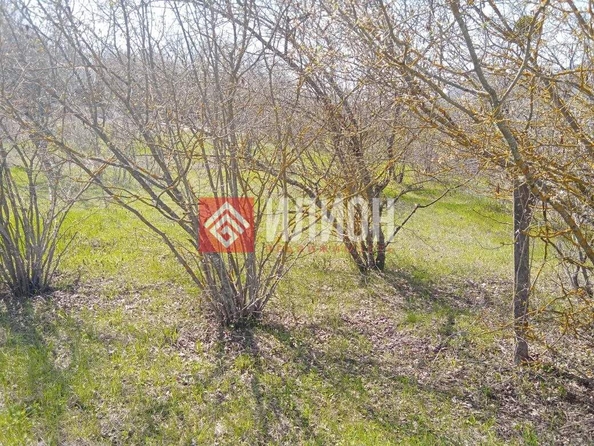 
  Продается земельный участок 10.4 соток. Фото 6.