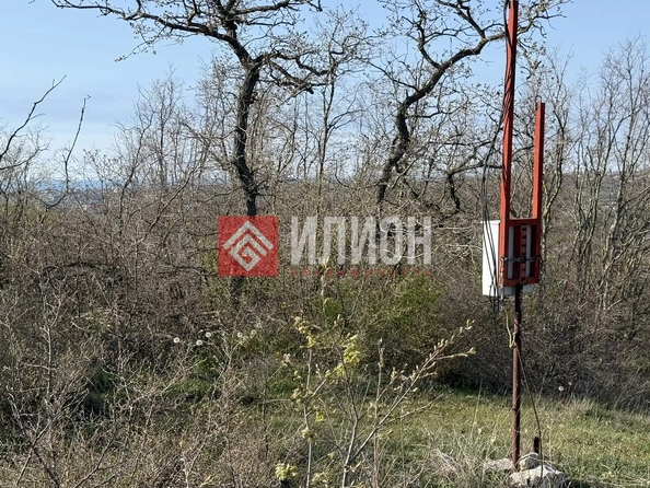 
  Продается земельный участок 10 соток. Фото 4.