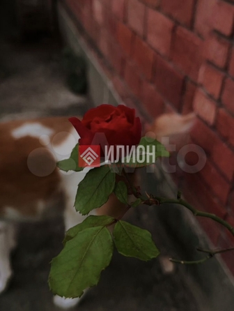 
  Продается дом 110 м². Фото 27.