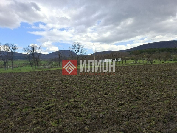 
  Продается земельный участок 190 соток. Фото 4.