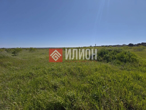 
  Продается земельный участок 6 соток. Фото 8.
