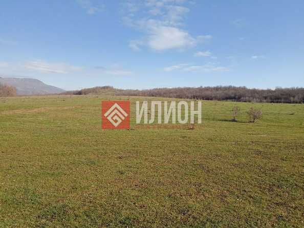 
  Продается земельный участок 208 соток. Фото 2.