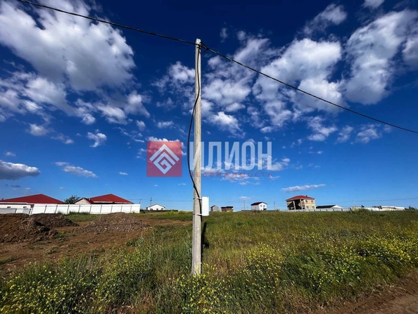 
  Продается земельный участок 8 соток. Фото 8.