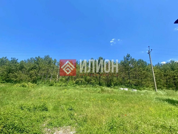 
  Продается земельный участок 12 соток. Фото 2.
