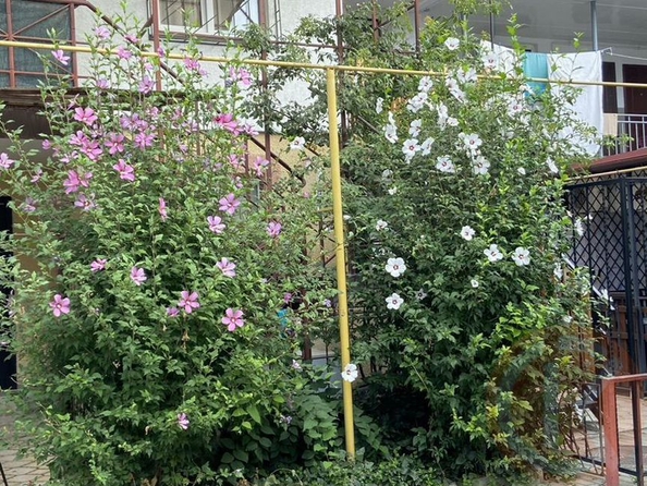 
  Продается дом 52 м². Фото 15.