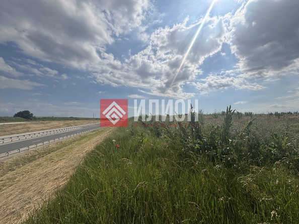 
  Продается земельный участок 64 сотки. Фото 6.
