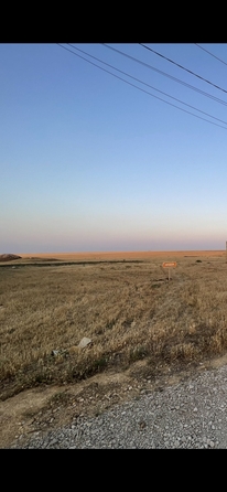 
  Продается земельный участок 6.4 соток. Фото 4.