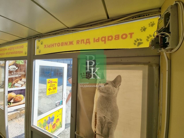 
  Сдается универсальное помещение 20 м². Фото 12.