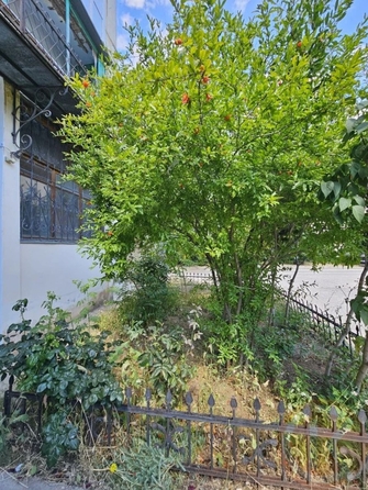 
  Продается 3-комн. квартира 79.1 м². Фото 19.