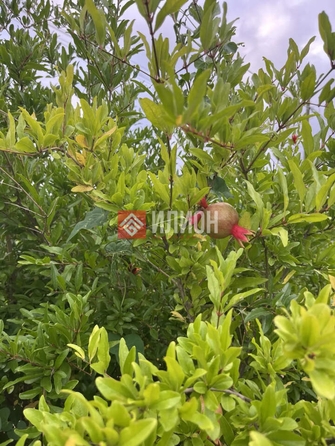 
  Продается коттедж 109 м². Фото 29.
