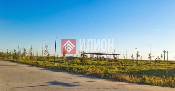 
  Продается земельный участок 8 соток. Фото 6.