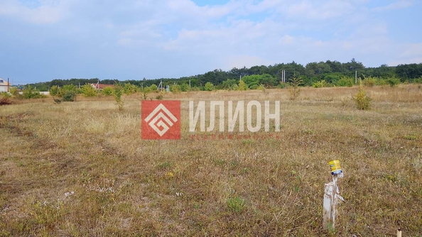
  Продается земельный участок 10 соток. Фото 11.