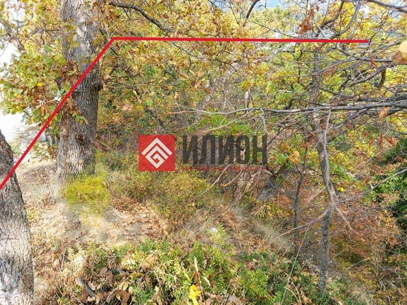 
  Продается земельный участок 8.1 соток. Фото 6.