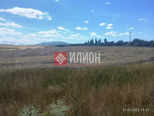 
  Продается земельный участок 1170 соток. Фото 2.