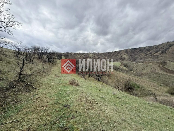 
  Продается земельный участок 4 сотки. Фото 5.