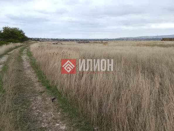 
  Продается земельный участок 8 соток. Фото 2.