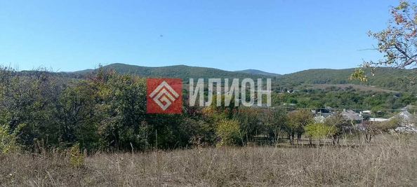 
  Продается земельный участок 24 сотки. Фото 1.