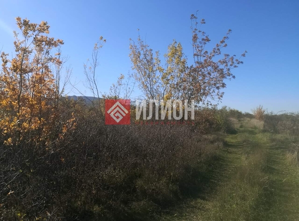 
  Продается земельный участок 243 сотки. Фото 6.