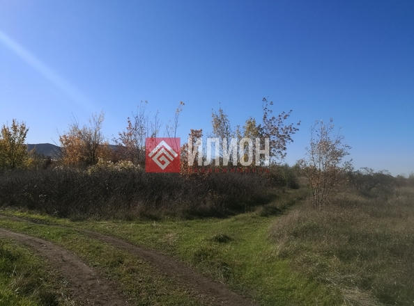 
  Продается земельный участок 243 сотки. Фото 8.