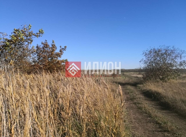 
  Продается земельный участок 243 сотки. Фото 12.