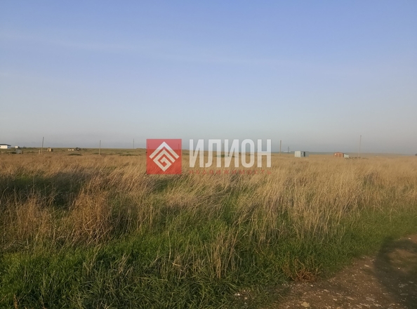 
  Продается земельный участок 8 соток. Фото 4.