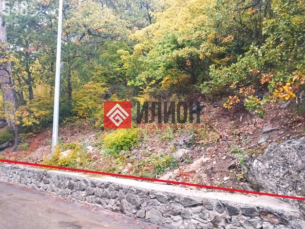 
  Продается земельный участок 15 соток. Фото 4.