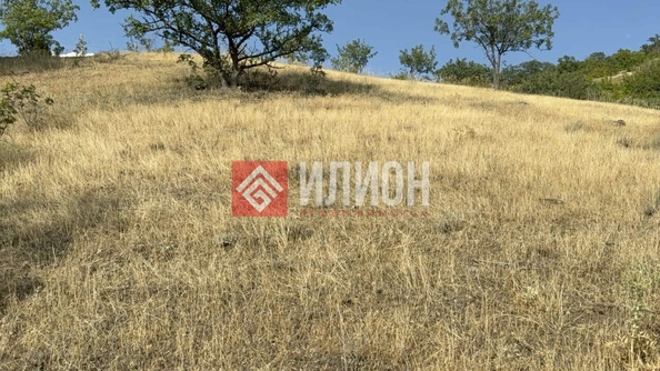 
  Продается земельный участок 9 соток. Фото 13.