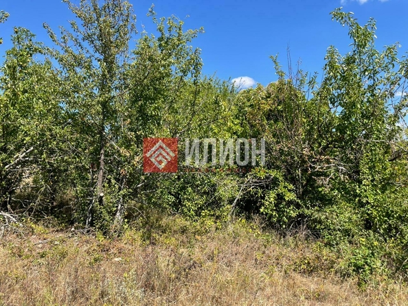 
  Продается земельный участок 10 соток. Фото 2.