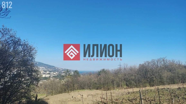 
  Продается земельный участок 6 соток. Фото 4.