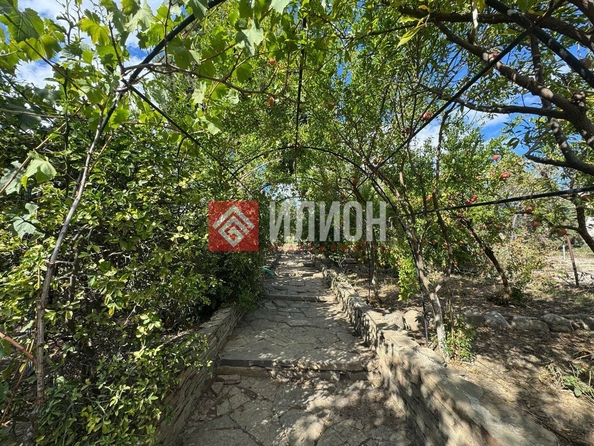 
  Продается земельный участок 24 сотки. Фото 4.