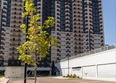 Эстет: Ход строительства 9 сентября 2025